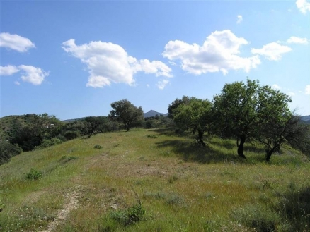 Coin property: Land for sale in Coin, Spain 113901