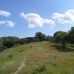 Coin property: Coin, Spain Land 113901