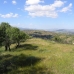 Coin property: bedroom Land in Coin, Spain 113901