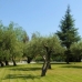 Book a hotel in Catalonia 1209