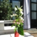 Hotel availability in Barcelona 1229