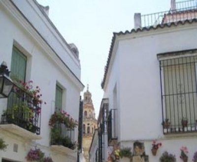 Hotels in Andalusia 1309