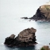 Catalonia hotels 1449