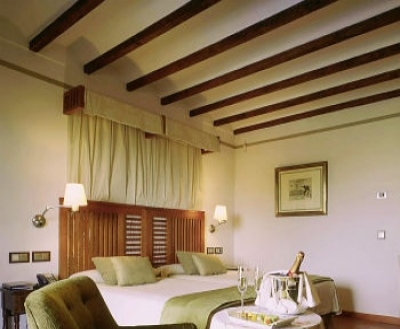 Child friendly hotel in Toledo 2067
