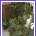 Andalusia hotels 2186