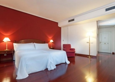 Find hotels in Madrid 2338