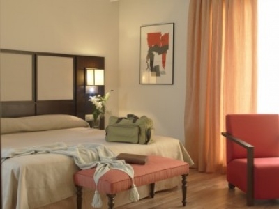 Cheap hotel in Alcala de Henares 2397