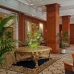 Book a hotel in Madrid 2556