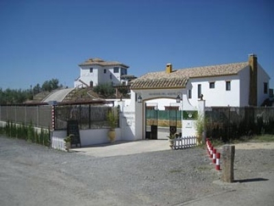 Hotel in Alcaudete 2616