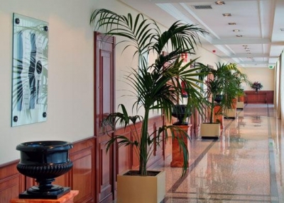 Child friendly hotel in Madrid 2648