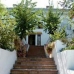 Andalusia hotels 3124