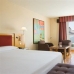 Book a hotel in Madrid 3186