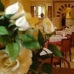 Hotel availability in Cordoba 3202