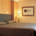 Book a hotel in Madrid 3205