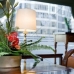 Hotel availability in Barcelona 3246
