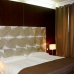 Book a hotel in Madrid 3282