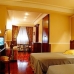 Book a hotel in Castilla y Leon 3284