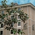 Madrid hotels 3382