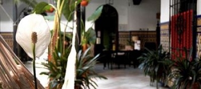 Cheap hotel in Andalusia 3631