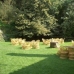 Book a hotel in Catalonia 3769