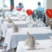 Andalusia hotels 3796