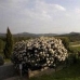 Hotel availability on the Catalonia 4038