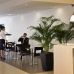 Book a hotel in Asturias 4041