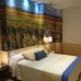 Book a hotel in Castilla y Leon 4160