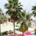 Book a hotel in Valencian Community 4208