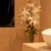 Hotel availability on the Andalusia 4232