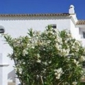 Hotel in Cadiz 4338