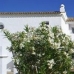 Andalusia hotels 4338