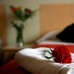 Hotel availability on the Andalusia 4352