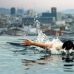 Book a hotel in Catalonia 4353