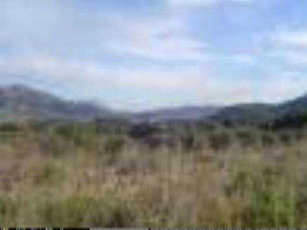 Alcalali property: Land for sale in Alcalali, Spain 24678