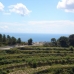 Moraira property: bedroom Land in Moraira, Spain 24713
