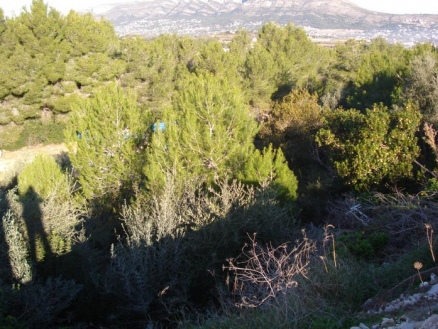 Javea property: Land for sale in Javea, Spain 24953