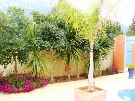 Gandia property: Valencia property | 6 bedroom Villa 25038