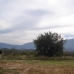 Murla property: Murla, Spain Finca 25052