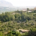 Benidoleig property:  Finca in Alicante 25082