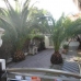 Denia property: 2 bedroom Townhome in Denia, Spain 25335