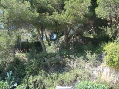 Teulada property: Land for sale in Teulada, Spain 25625