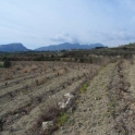 Benissa property: Land for sale in Benissa 25645