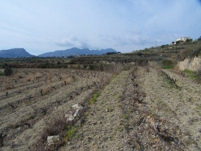 Benissa&nbsp;property:&nbsp;Land&nbsp;for&nbsp;sale&nbsp;in&nbsp;Benissa&nbsp;25645