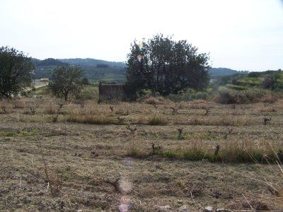 Benissa&nbsp;property:&nbsp;Land&nbsp;with&nbsp;bedroom&nbsp;in&nbsp;Benissa&nbsp;25645