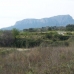 Benissa&nbsp;property:&nbsp;bedroom&nbsp;Land&nbsp;in&nbsp;Alicante&nbsp;25645