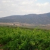 Pinoso property: 3 bedroom Villa in Pinoso, Spain 26937