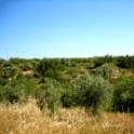 Les Coves De Vinroma property: Land for sale in Les Coves De Vinroma 28632