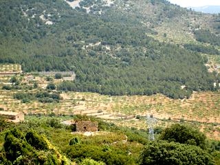 Atzeneta Del Maestrat property: Land for sale in Atzeneta Del Maestrat, Spain 28634
