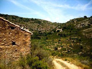 Atzeneta Del Maestrat property: Land for sale in Atzeneta Del Maestrat, Spain 28636